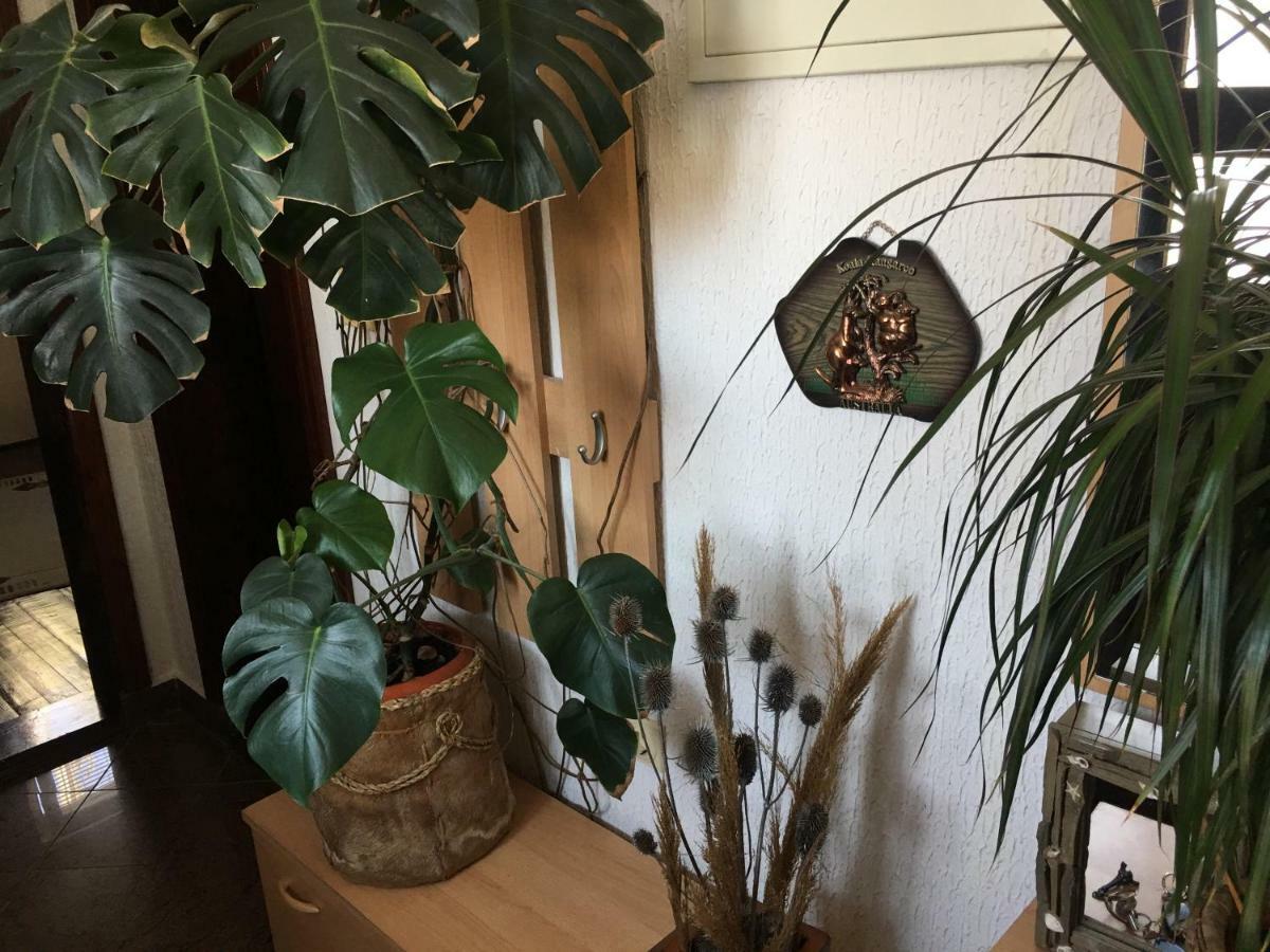 Apartmani Miljana バール エクステリア 写真
